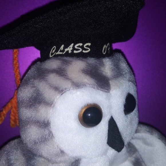 Wiser "Class of 1999" Owl 🦉 - Picture 2 of 5